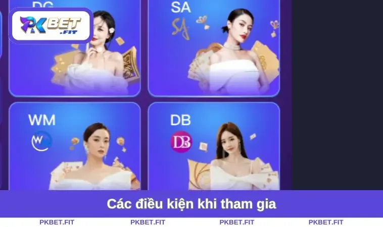 Các điều kiện khi tham gia