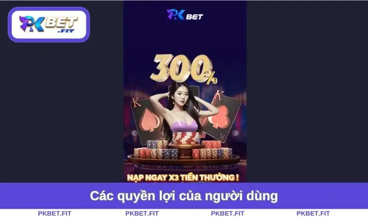 Các quyền lợi của người dùng