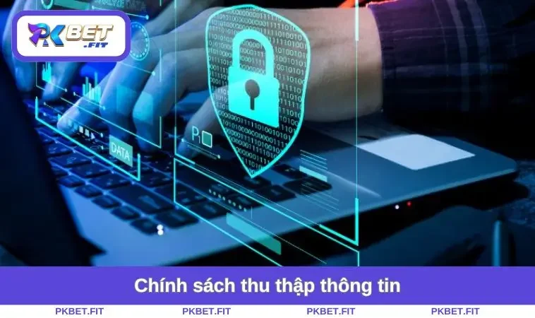 Chính sách thu thập thông tin