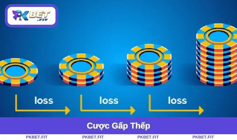 cuoc-gap-thep