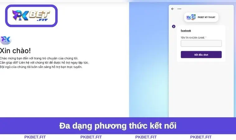 Đa dạng phương thức kết nối
